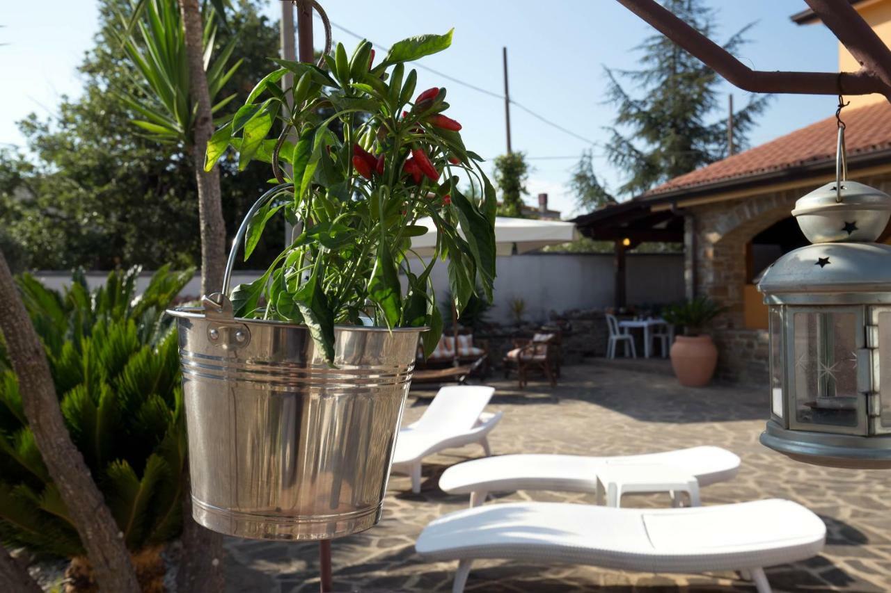 B&B Fasolino Montecorice Exteriér fotografie